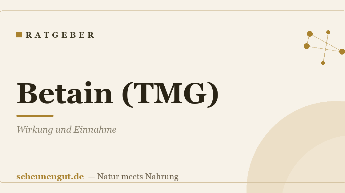 Betain (TMG): Wirkung und Einnahme