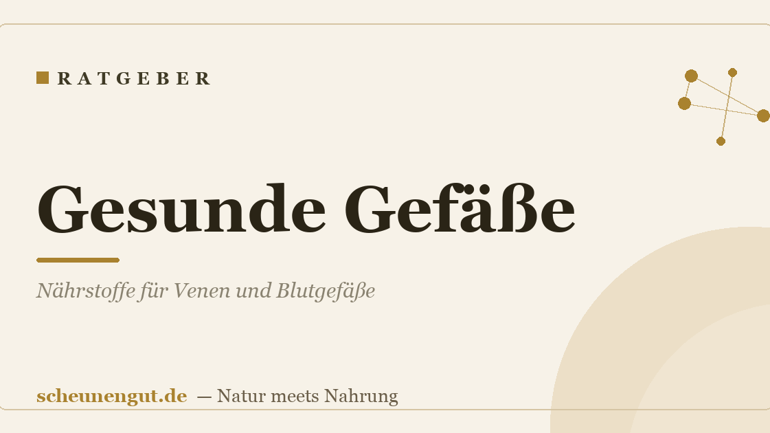 Gesunde Gefäße: Nährstoffe für Venen und Blutgefäße