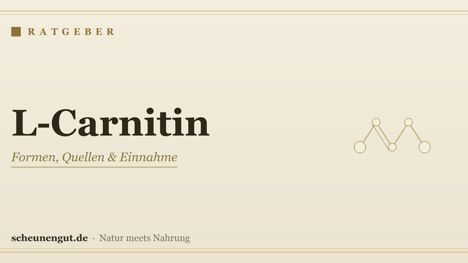 L-Carnitin: Wissenswertes & Einnahme – Ratgeber von Scheunengut