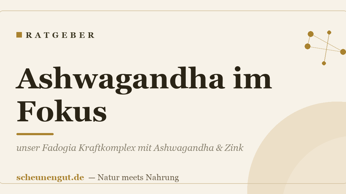 Ashwagandha im Fokus: unser Fadogia Kraftkomplex mit Ashwagandha & Zink