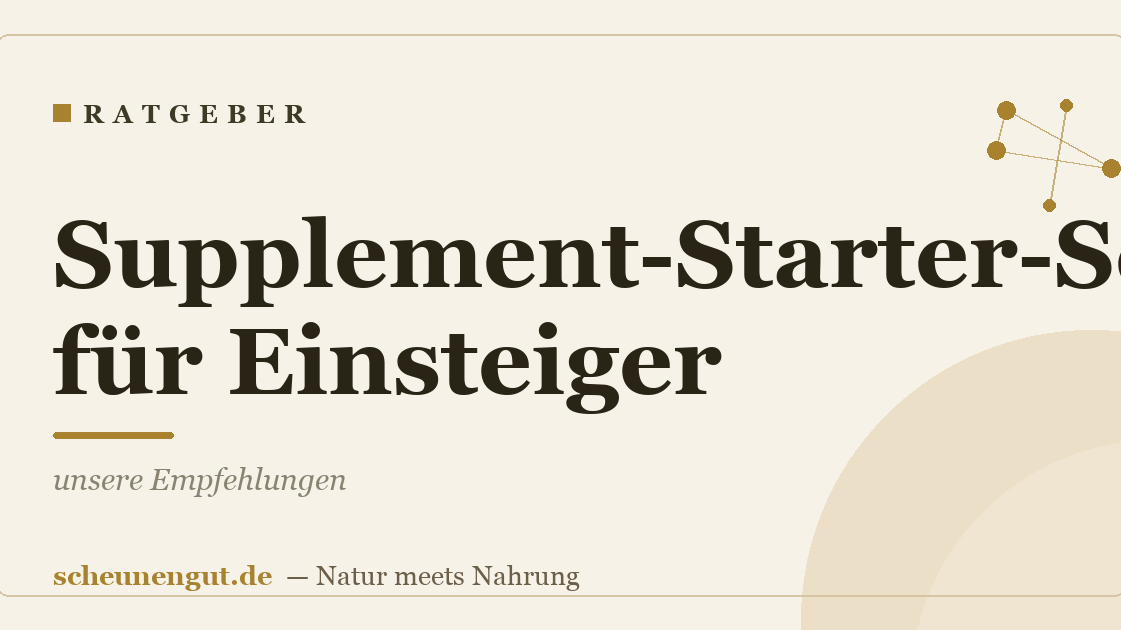 Supplement-Starter-Set für Einsteiger: unsere Empfehlungen