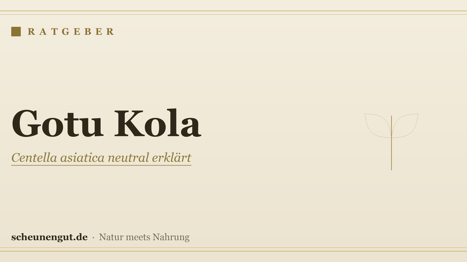 Gotu Kola (Centella asiatica): Wirkung und Anwendung erklärt – Ratgeber von Scheunengut