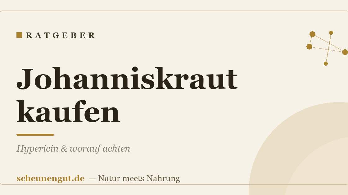 Johanniskraut kaufen: Hypericin & worauf achten