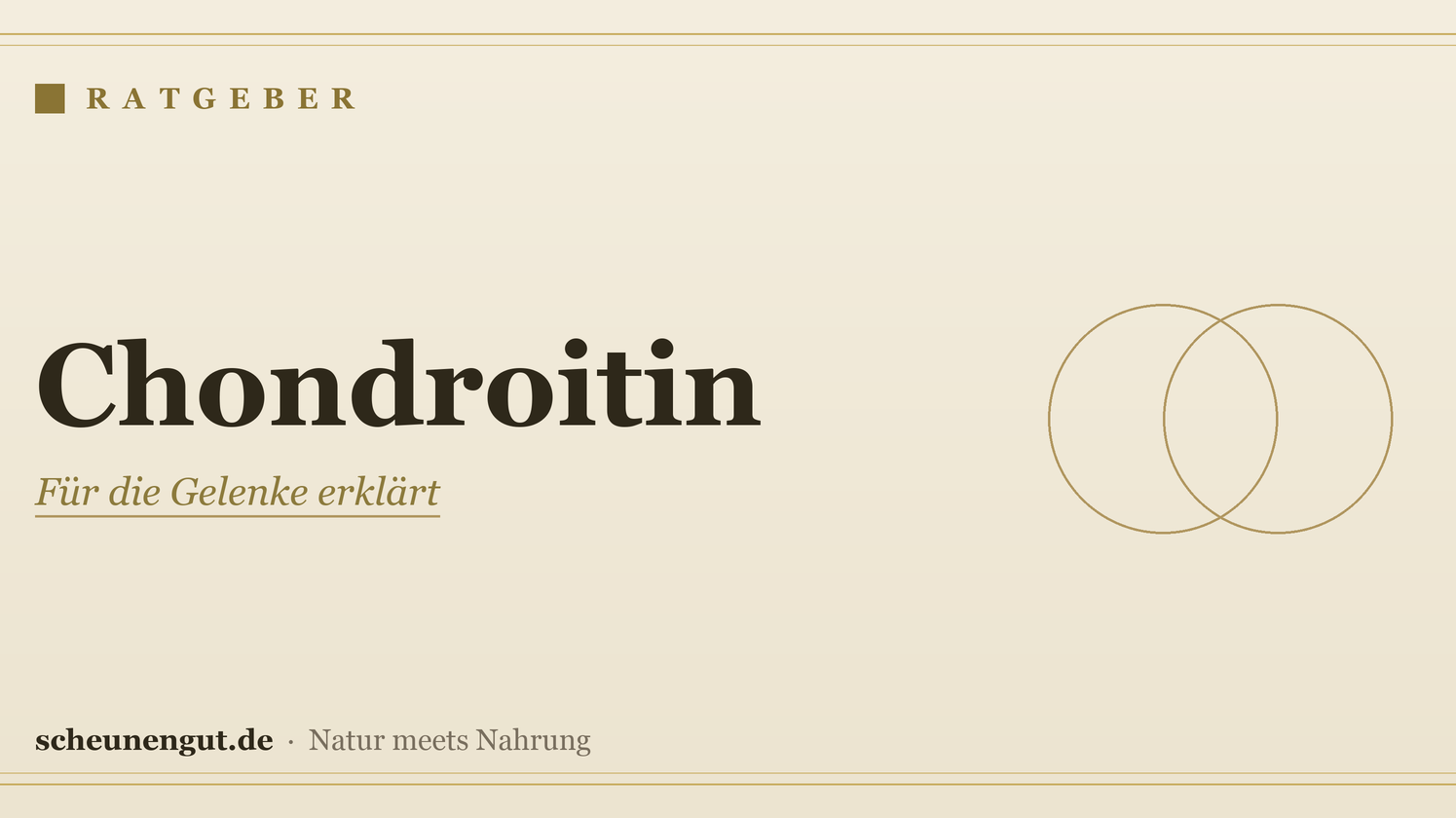Chondroitin: für die Gelenke erklärt – Ratgeber von Scheunengut