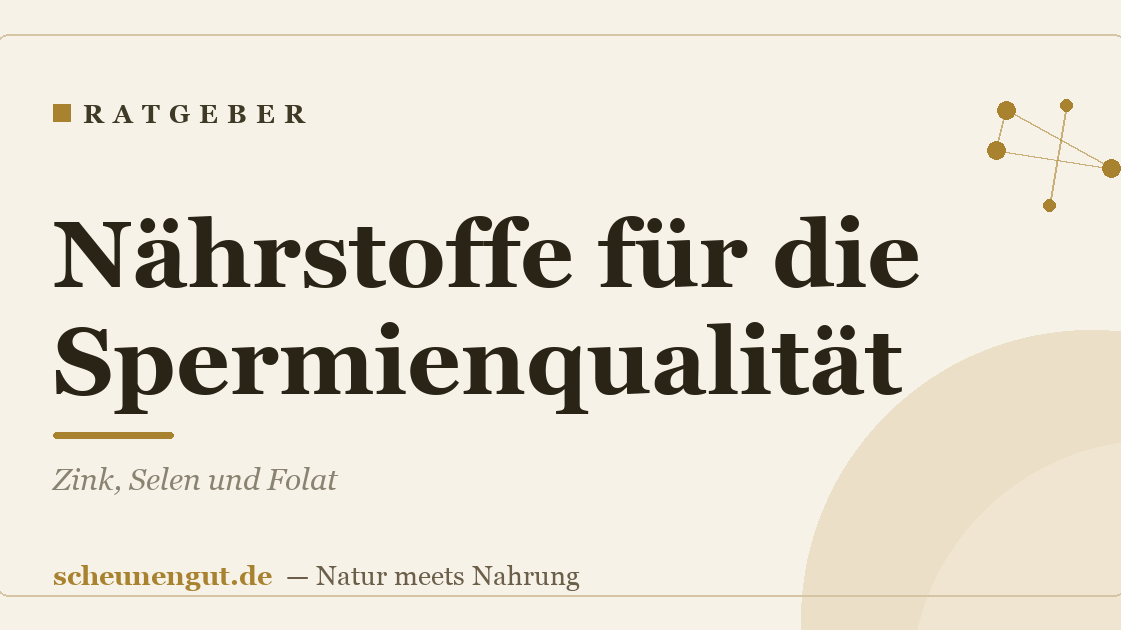 Nährstoffe für die Spermienqualität: Zink, Selen und Folat