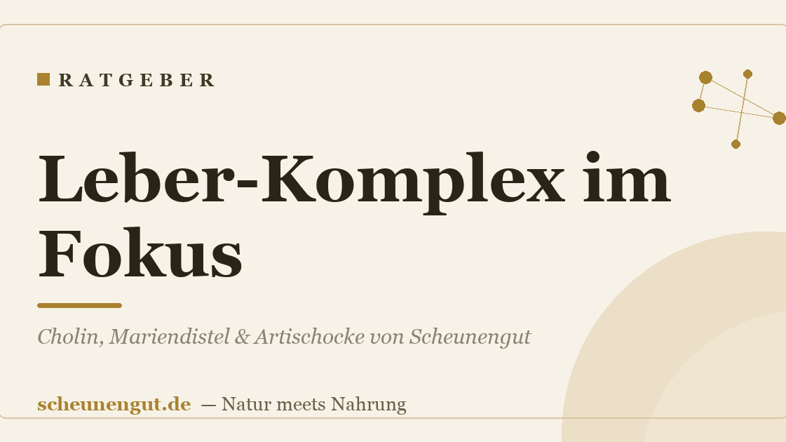 Leber-Komplex im Fokus: Cholin, Mariendistel & Artischocke von Scheunengut