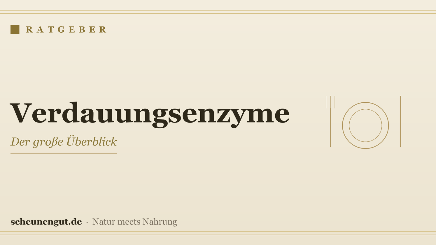 Verdauungsenzyme: der Überblick – Ratgeber von Scheunengut