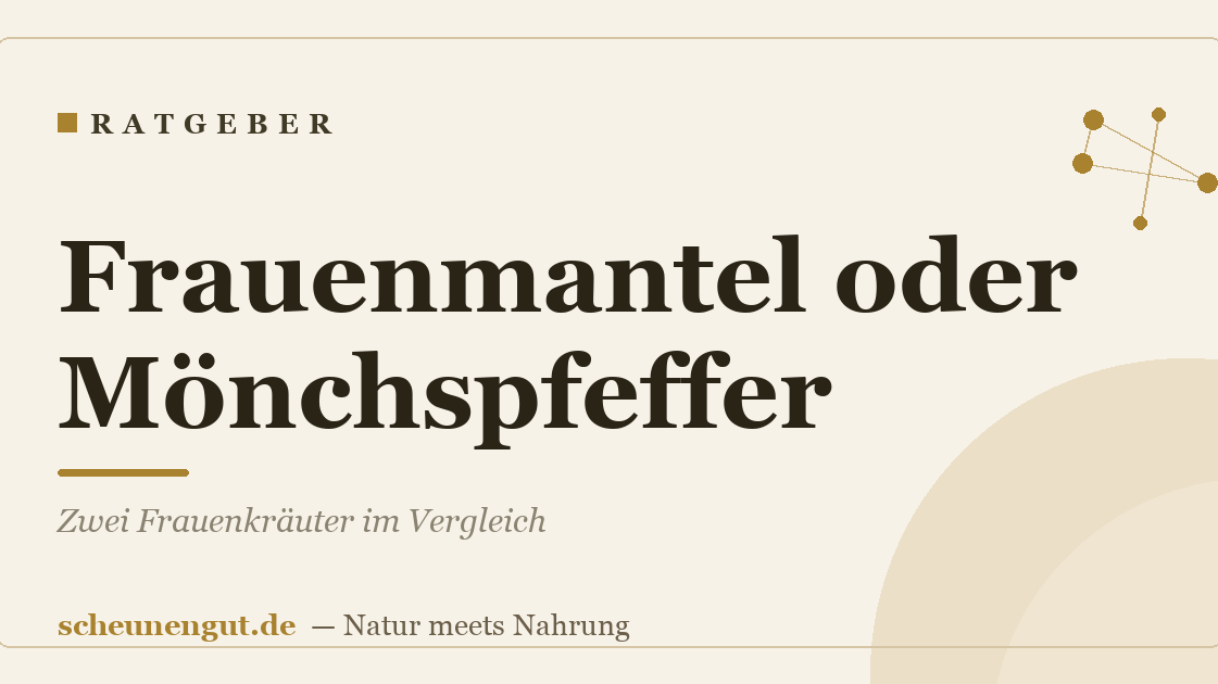 Frauenmantel oder Mönchspfeffer? Zwei Frauenkräuter im Vergleich