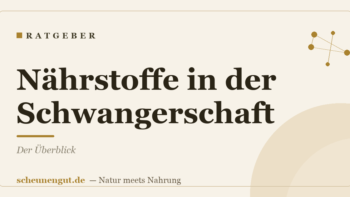 Nährstoffe in der Schwangerschaft: Der Überblick