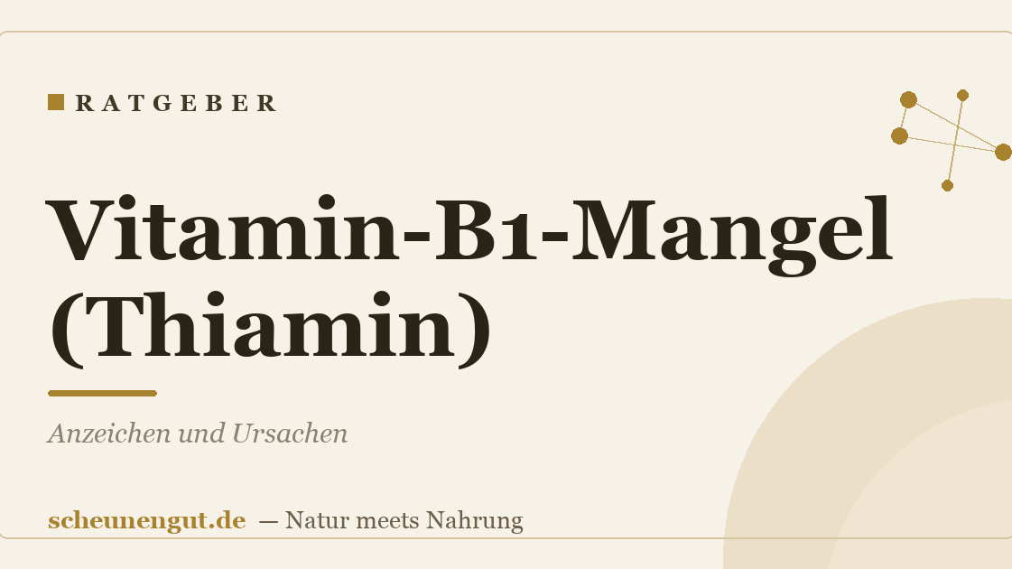 Vitamin-B1-Mangel (Thiamin): Anzeichen und Ursachen