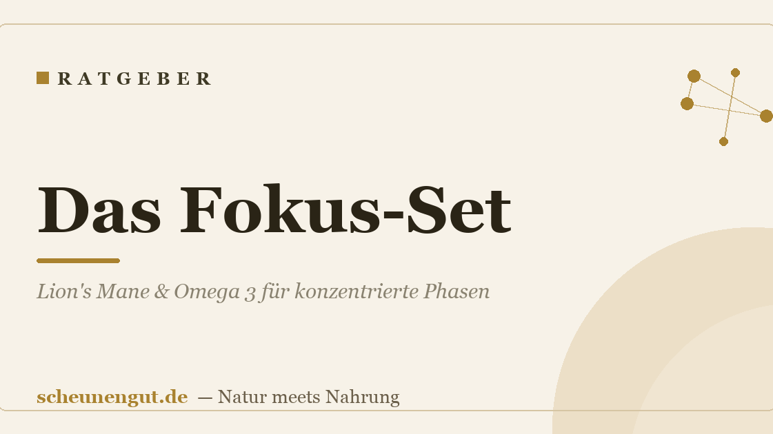 Das Fokus-Set: Lion's Mane & Omega 3 für konzentrierte Phasen