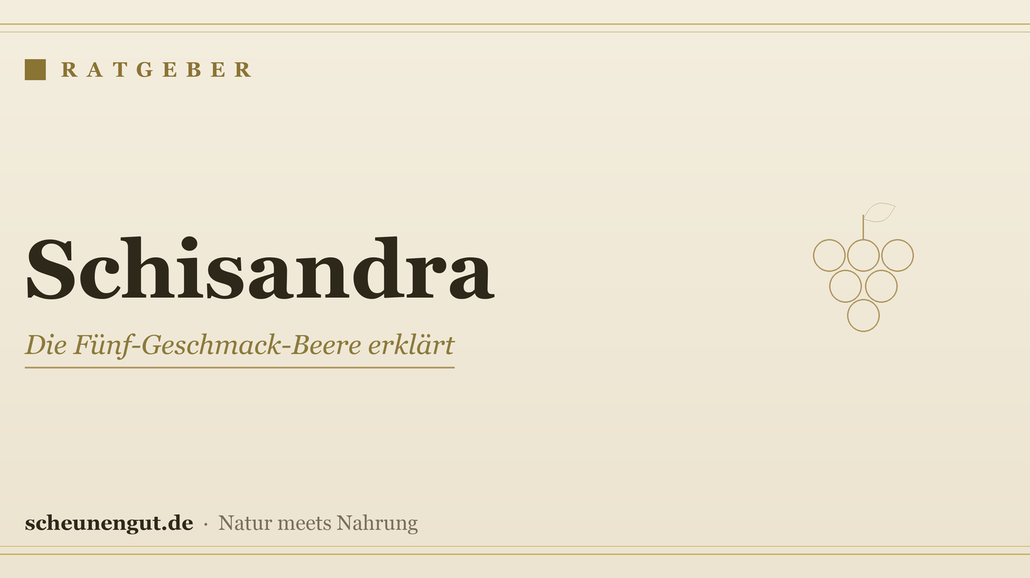 Schisandra-Beere: Wirkung, Herkunft und Anwendung erklärt – Ratgeber von Scheunengut