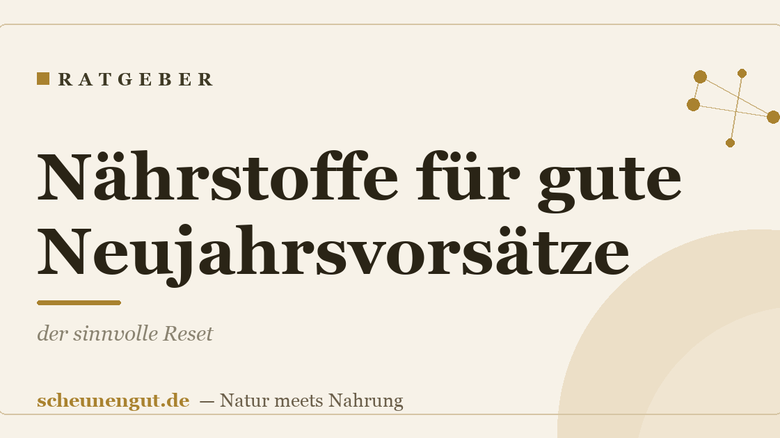 Nährstoffe für gute Neujahrsvorsätze: der sinnvolle Reset