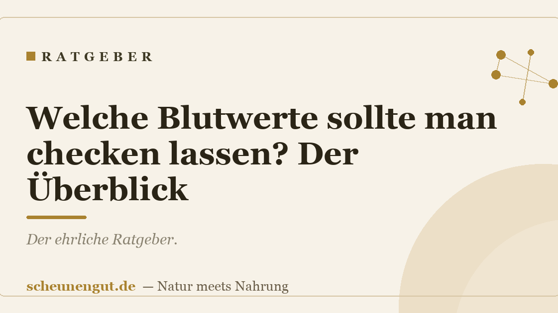 Welche Blutwerte sollte man checken lassen? Der Überblick