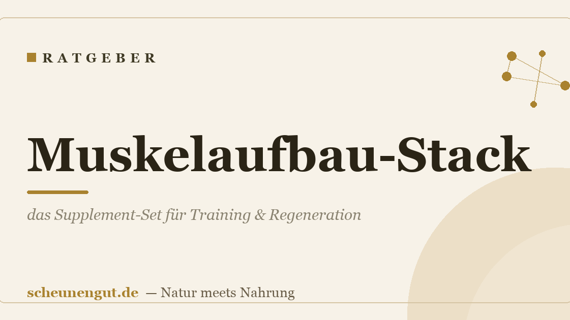 Muskelaufbau-Stack: das Supplement-Set für Training & Regeneration