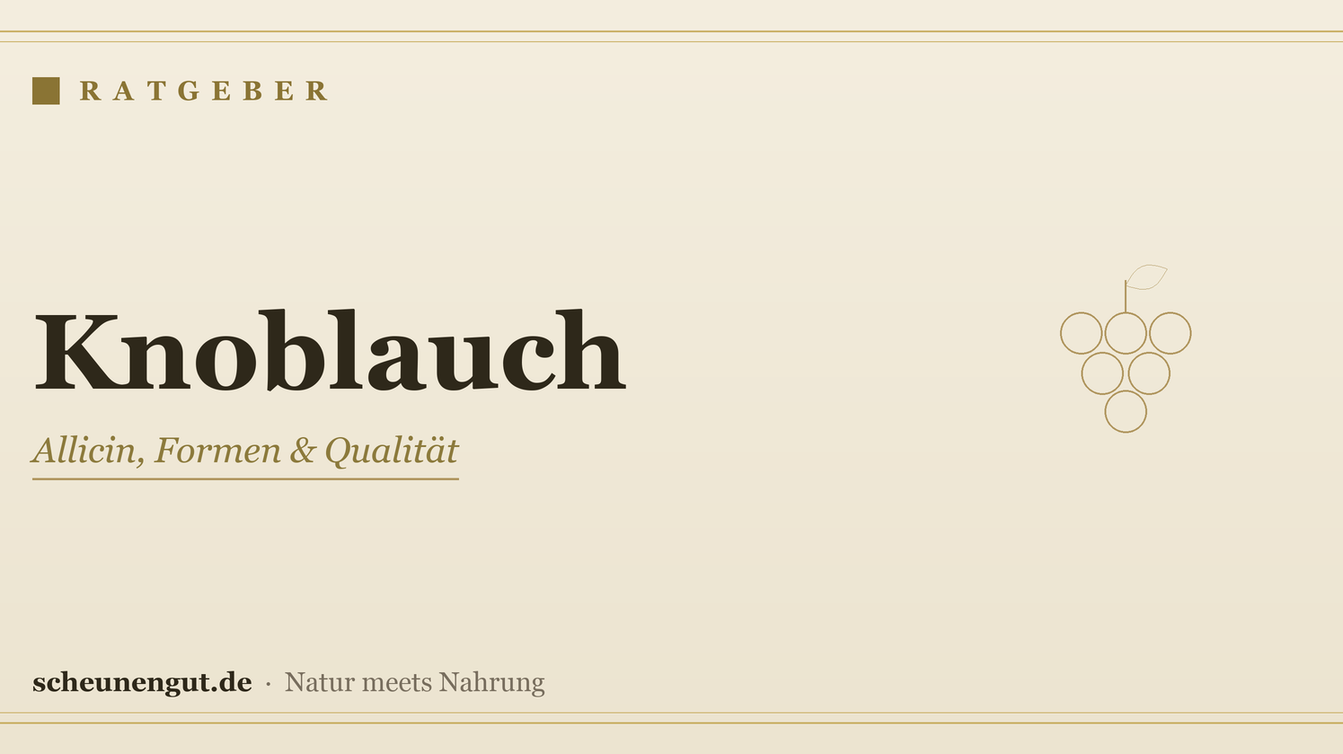 Knoblauch: Allicin, Formen & Anwendung – Ratgeber von Scheunengut