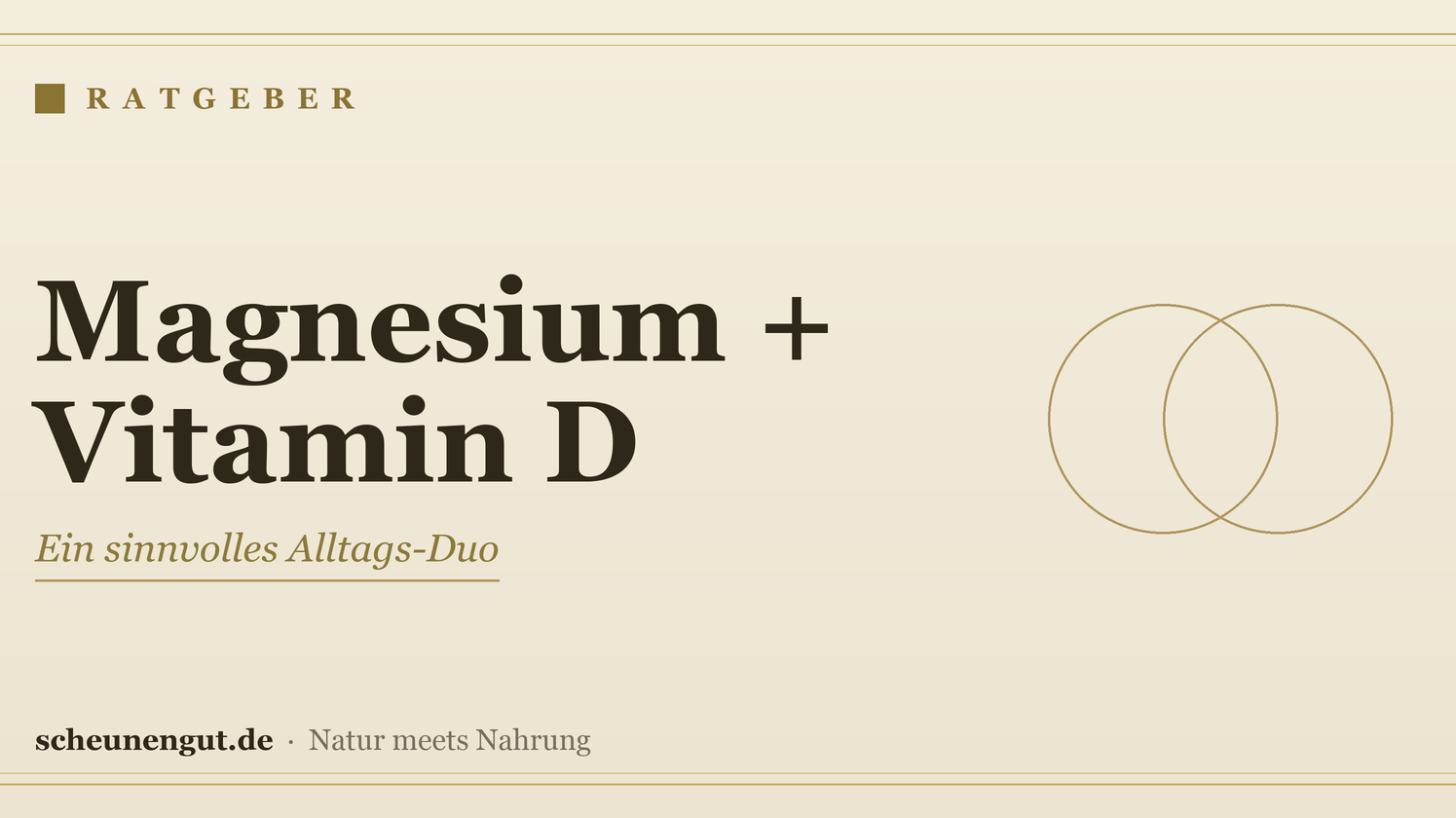 Magnesium und Vitamin D zusammen einnehmen? – Ratgeber von Scheunengut
