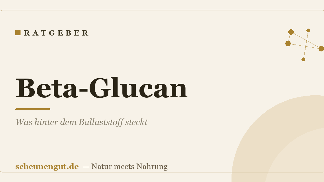 Beta-Glucan: Was hinter dem Ballaststoff steckt