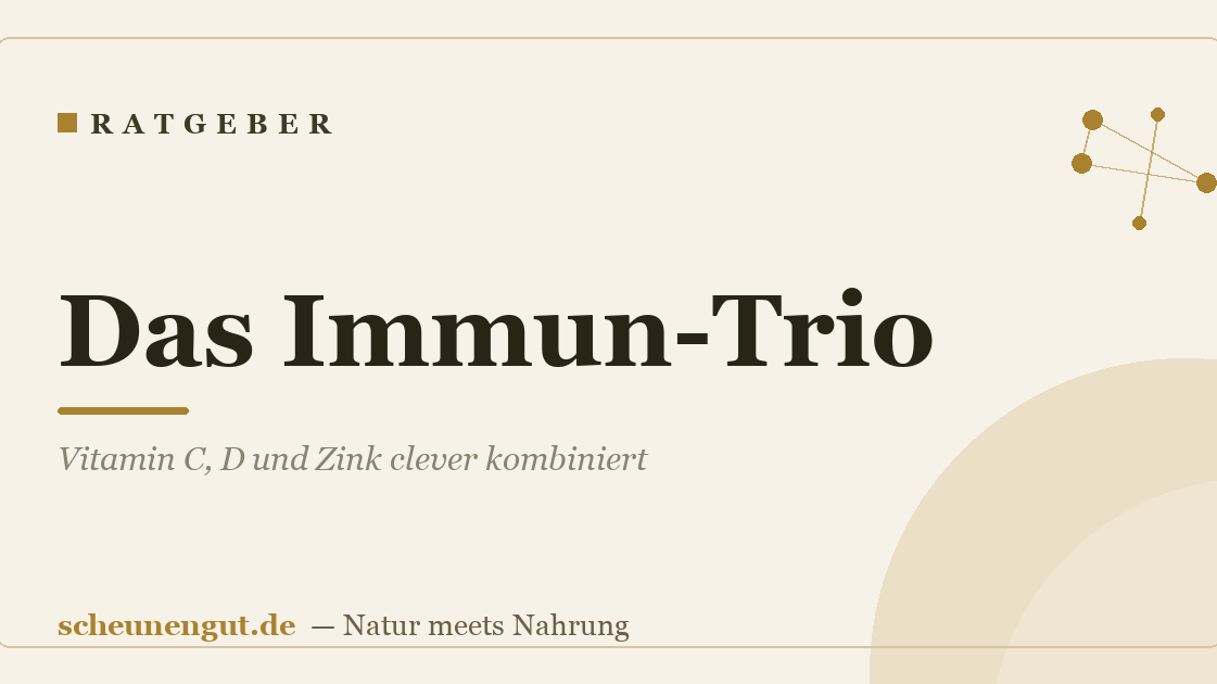 Das Immun-Trio: Vitamin C, D und Zink clever kombiniert