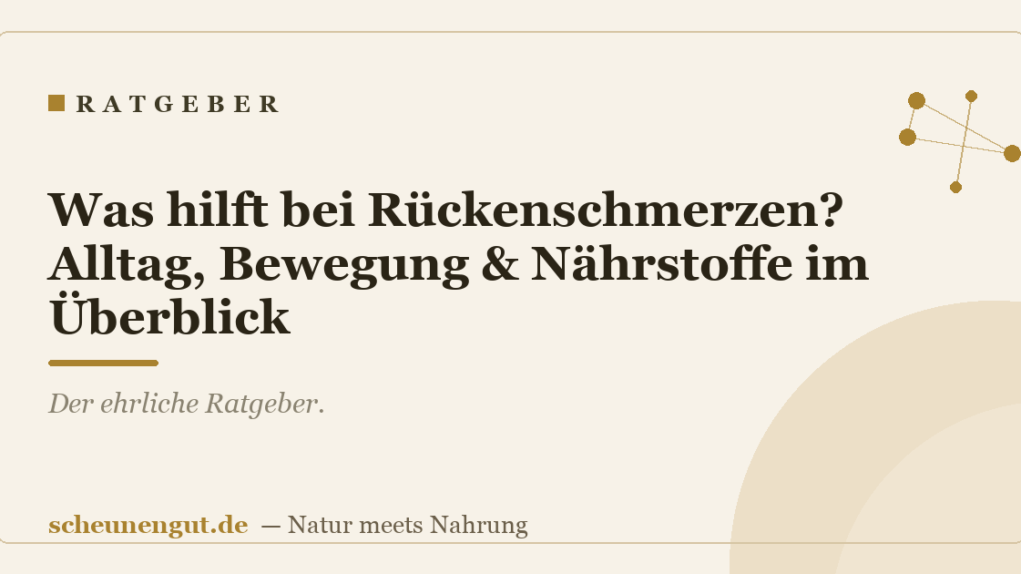 Was hilft bei Rückenschmerzen? Alltag, Bewegung & Nährstoffe im Überblick