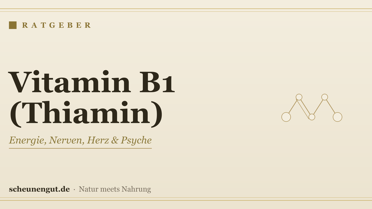 Vitamin B1 (Thiamin): Wirkung, Bedarf, Quellen – Ratgeber von Scheunengut