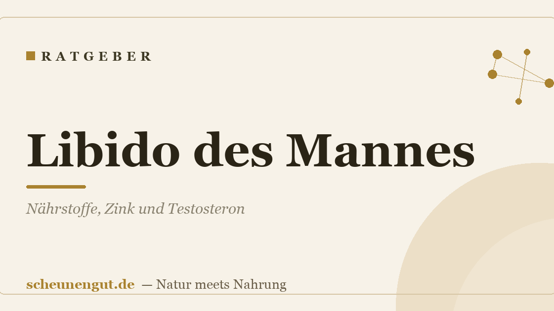 Libido des Mannes: Nährstoffe, Zink und Testosteron