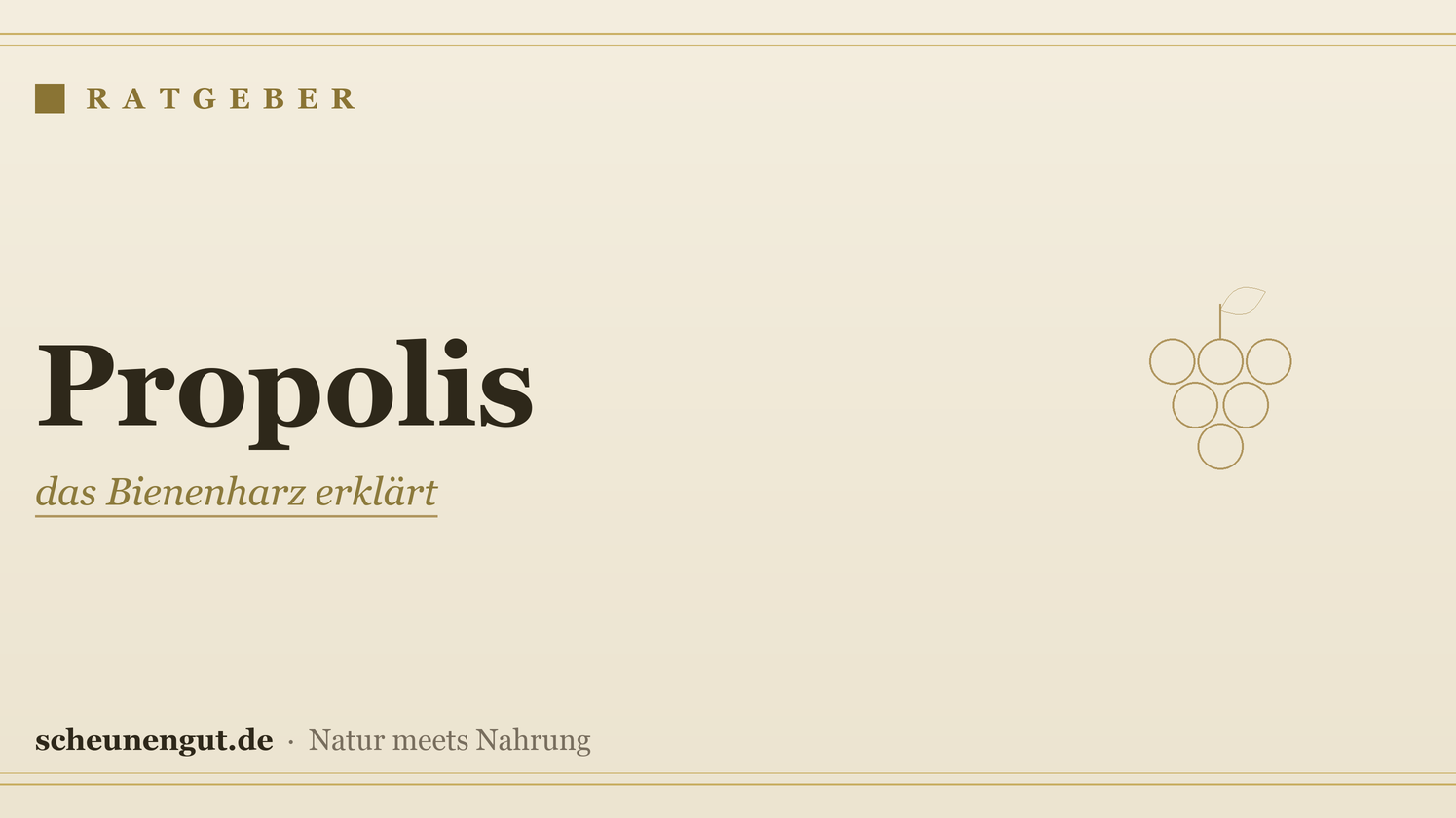 Propolis: das Bienenharz erklärt – Ratgeber von Scheunengut