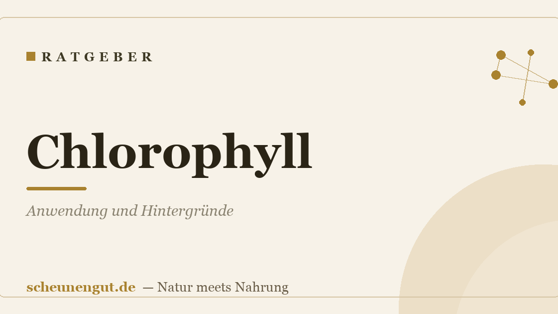 Chlorophyll: Anwendung und Hintergründe