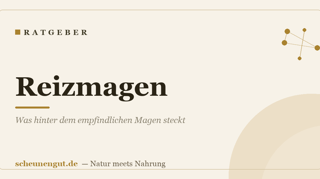 Reizmagen: Was hinter dem empfindlichen Magen steckt