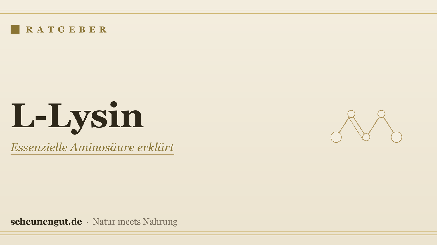 L-Lysin: Wirkung & Einnahme einfach erklärt – Ratgeber von Scheunengut