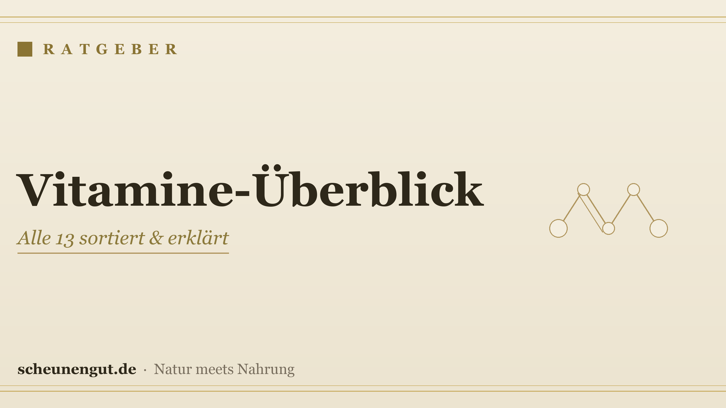 Vitamine: der große Überblick über alle 13 – Ratgeber von Scheunengut