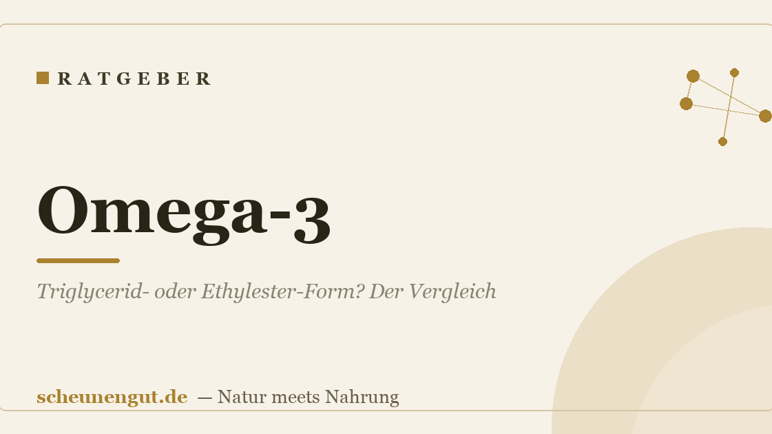 Omega-3: Triglycerid- oder Ethylester-Form? Der Vergleich