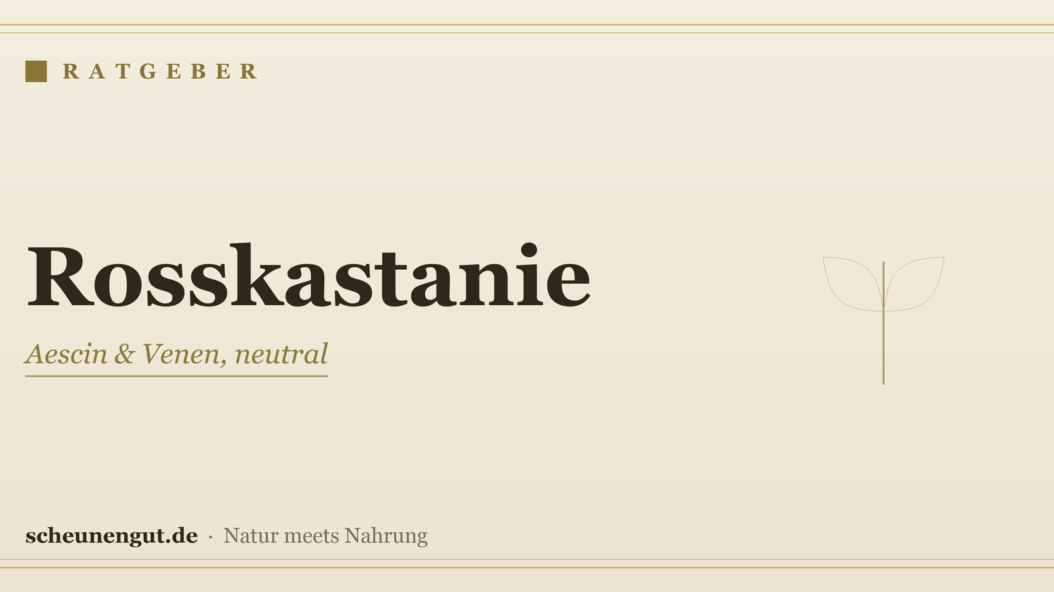 Rosskastanie & Aescin: Venen – Ratgeber von Scheunengut
