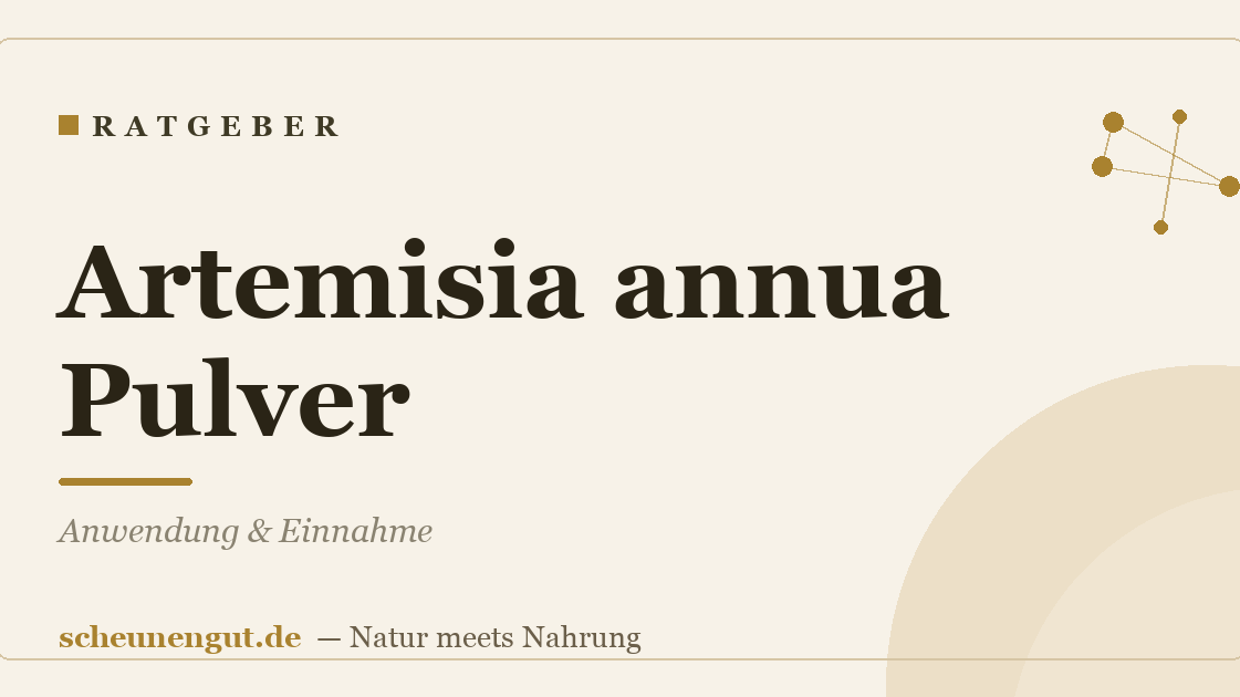 Artemisia annua Pulver: Anwendung & Einnahme