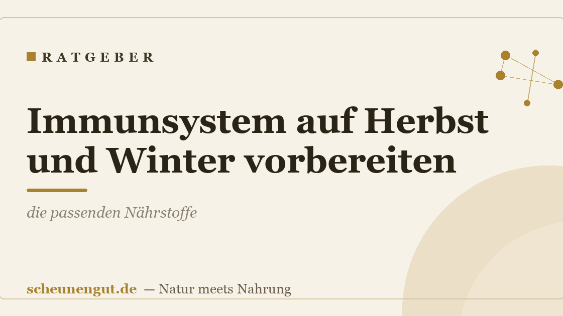 Immunsystem auf Herbst und Winter vorbereiten: die passenden Nährstoffe