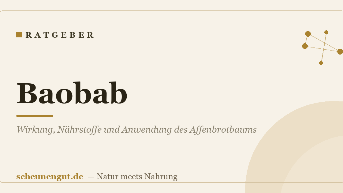 Baobab: Wirkung, Nährstoffe und Anwendung des Affenbrotbaums