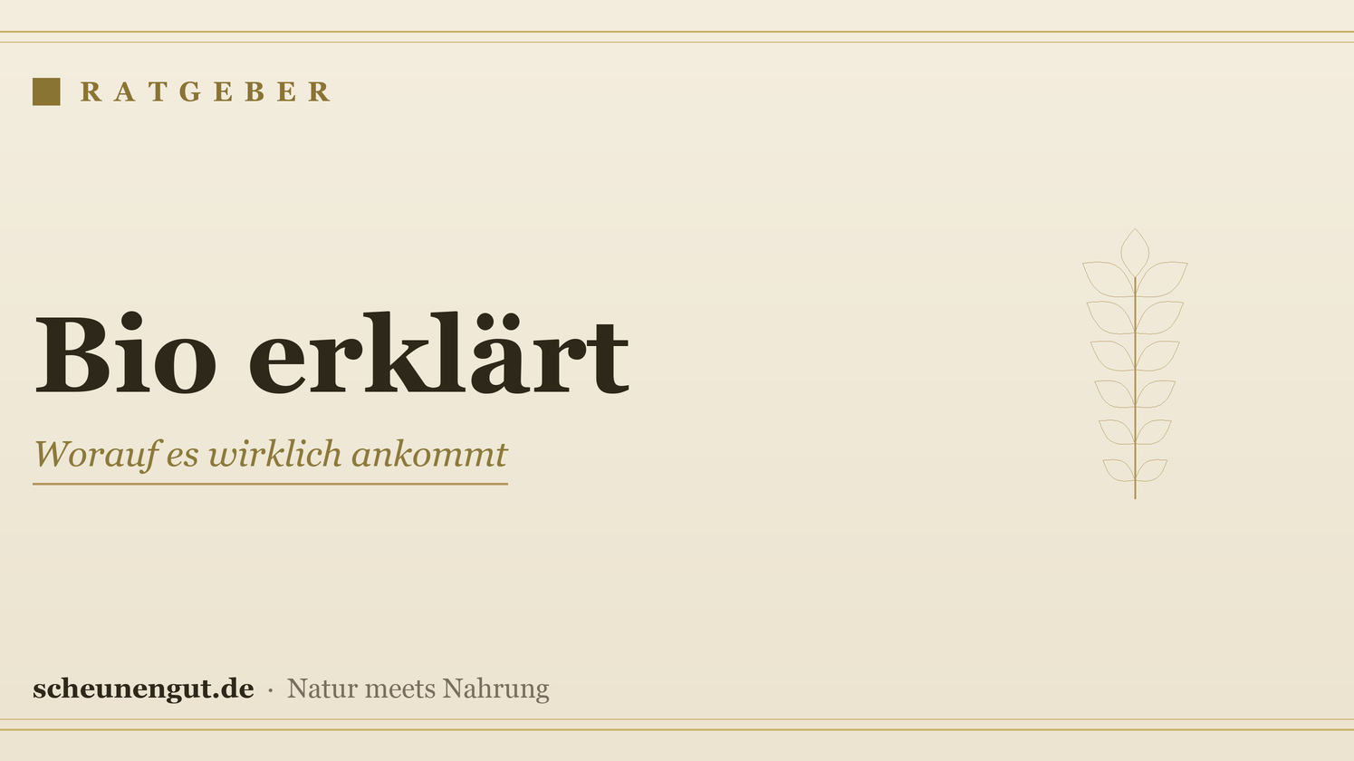 Bio bei Nahrungsergänzung: worauf achten? – Ratgeber von Scheunengut
