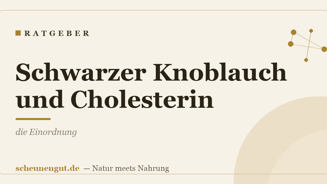 Schwarzer Knoblauch und Cholesterin: die Einordnung