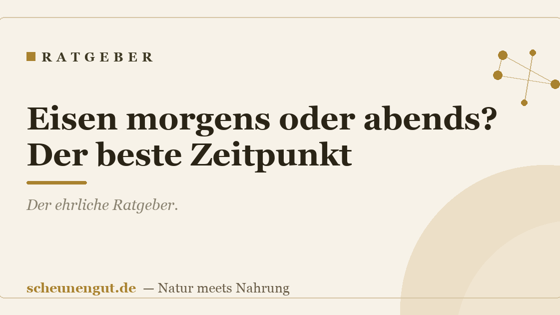 Eisen morgens oder abends? Der beste Zeitpunkt