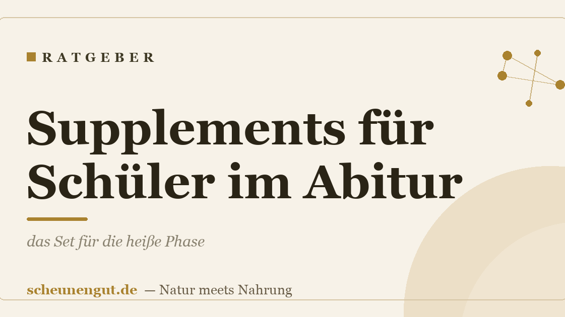 Supplements für Schüler im Abitur: das Set für die heiße Phase