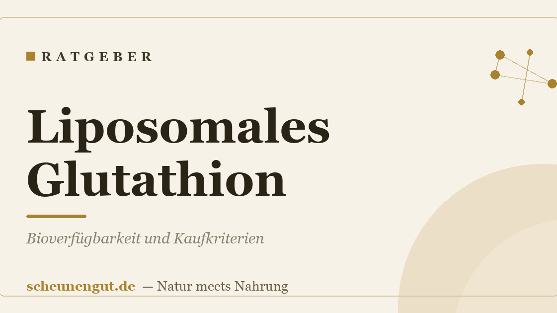 Liposomales Glutathion: Bioverfügbarkeit und Kaufkriterien
