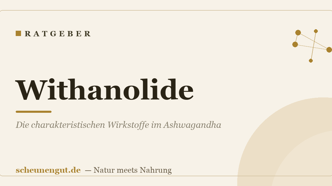 Withanolide: Die charakteristischen Wirkstoffe im Ashwagandha