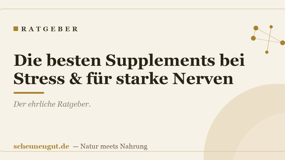 Die besten Supplements bei Stress & für starke Nerven