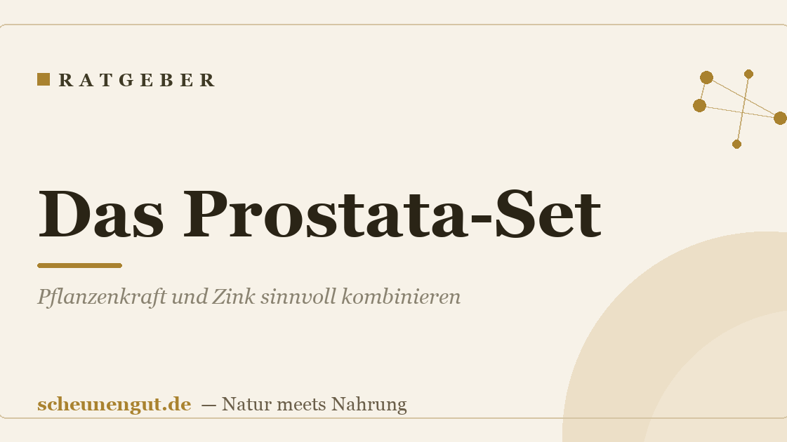 Das Prostata-Set: Pflanzenkraft und Zink sinnvoll kombinieren