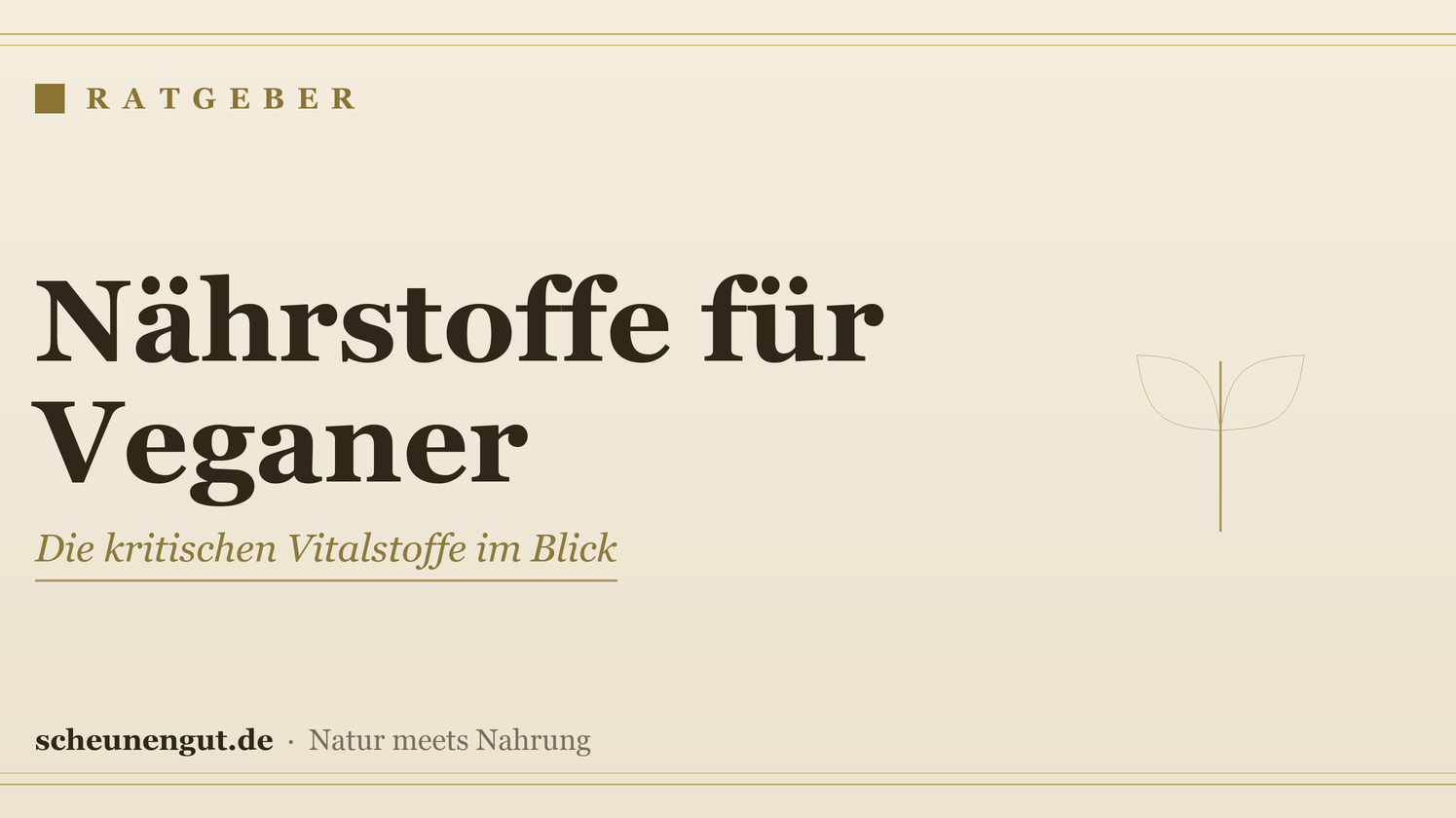 Nährstoffe für Veganer – Ratgeber von Scheunengut