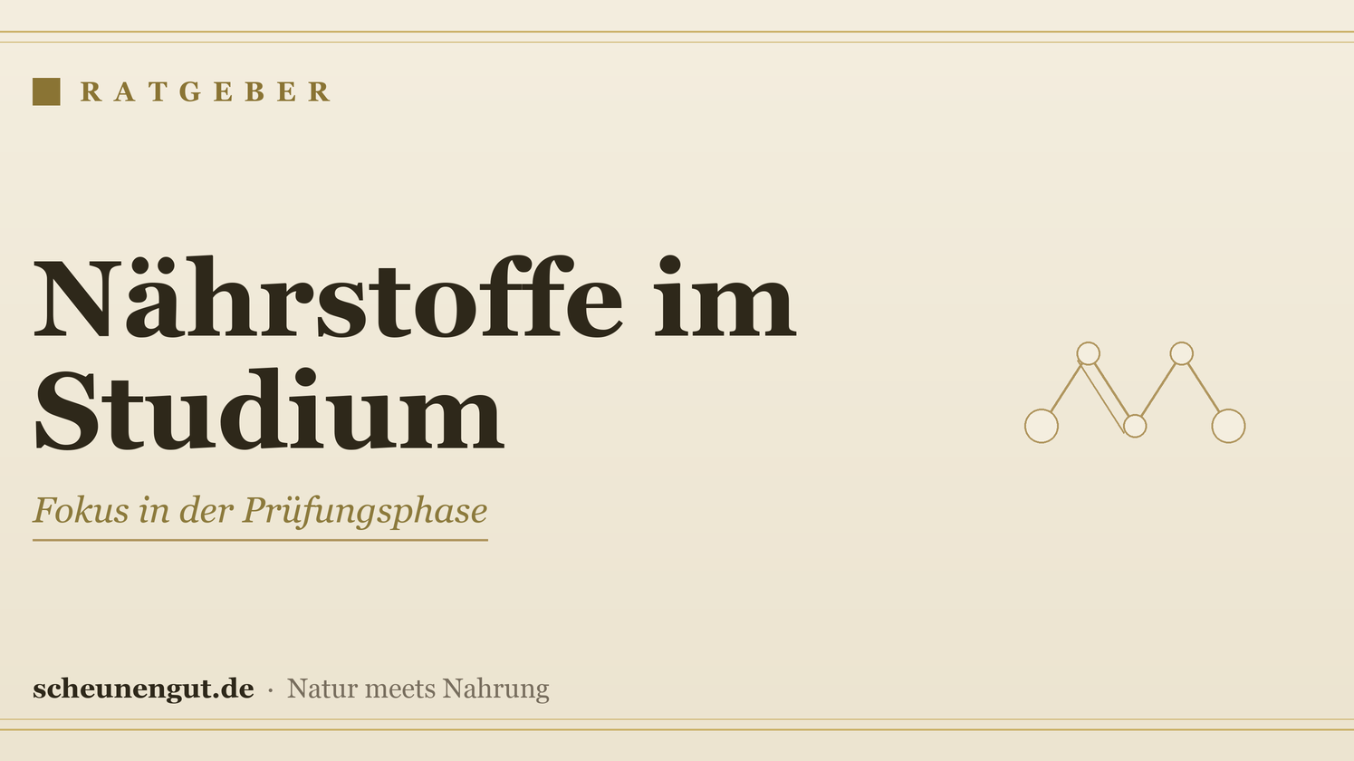 Nährstoffe für Studenten & Prüfungsphasen – Ratgeber von Scheunengut