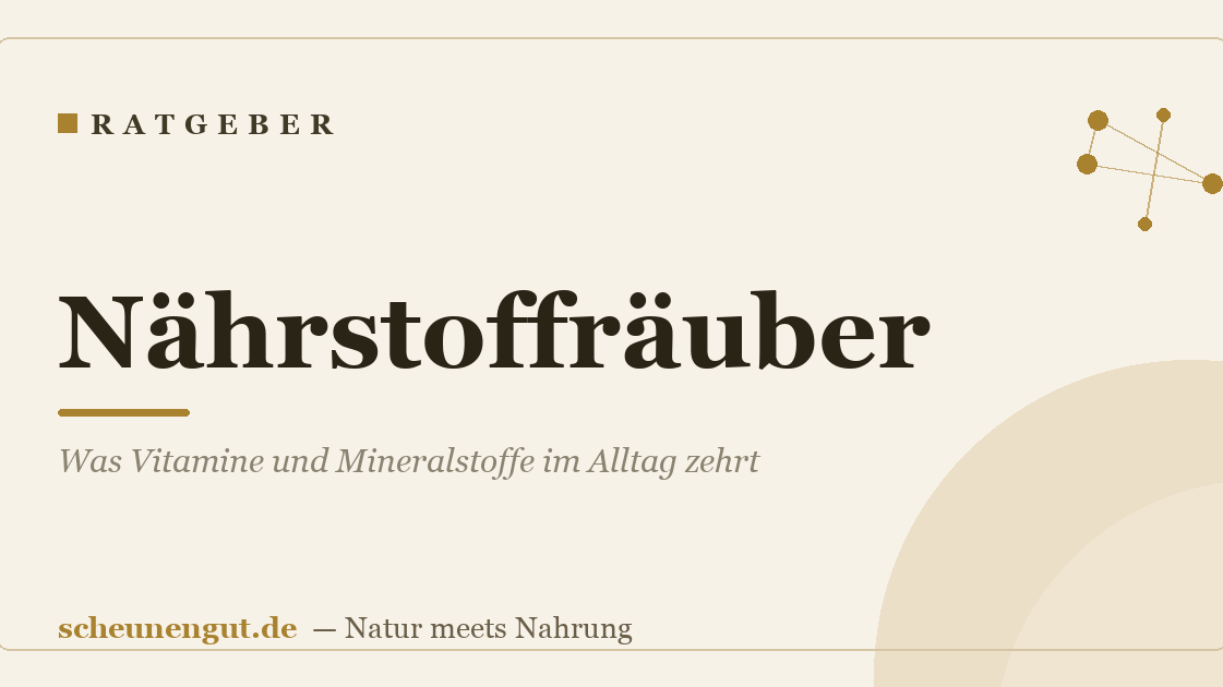 Nährstoffräuber: Was Vitamine und Mineralstoffe im Alltag zehrt