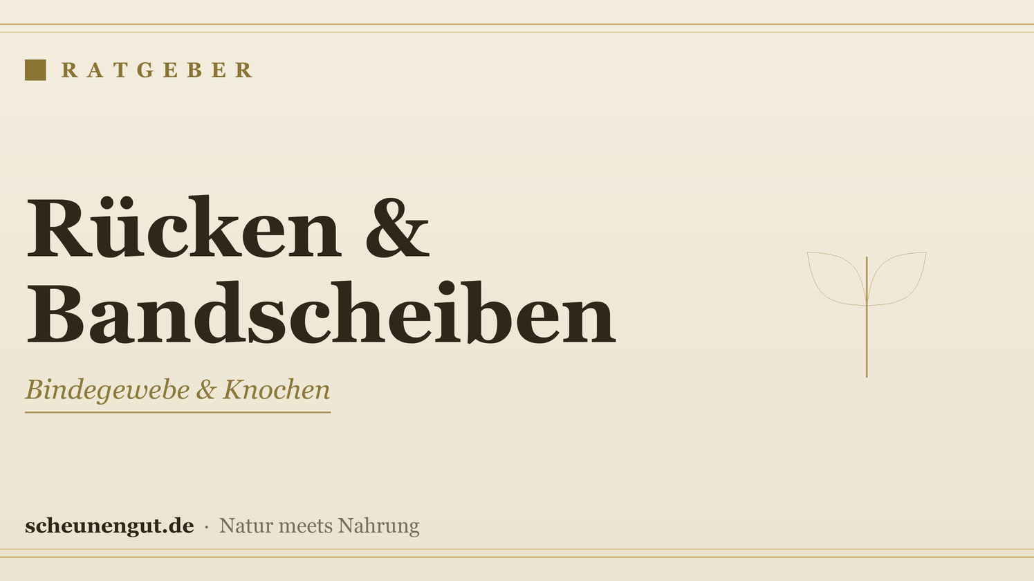 Nährstoffe für Rücken & Bandscheiben – Ratgeber von Scheunengut