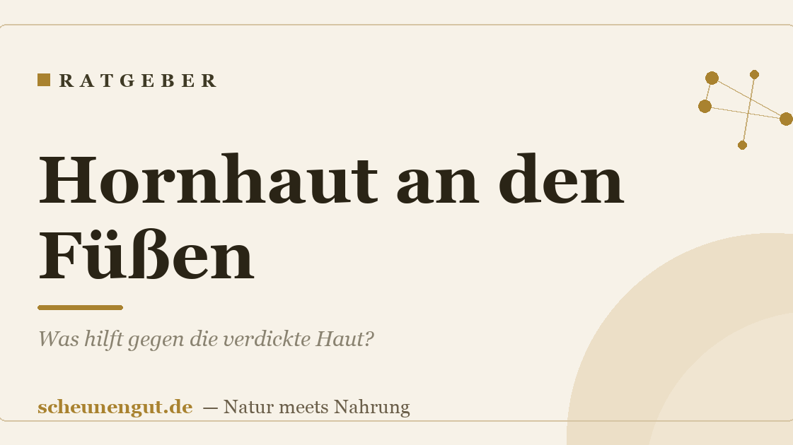 Hornhaut an den Füßen: Was hilft gegen die verdickte Haut?