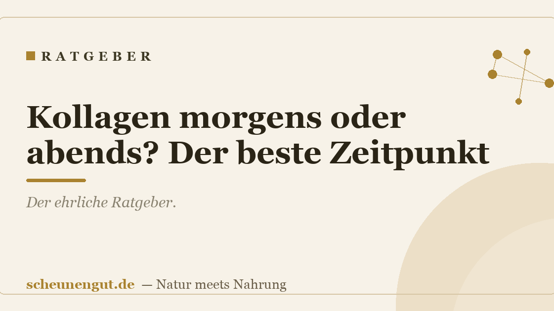 Kollagen morgens oder abends? Der beste Zeitpunkt